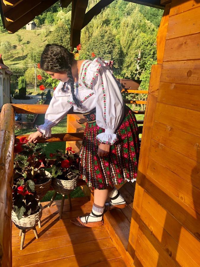 Domeniul Horj Casa Din Deal Moisei Eksteriør bilde