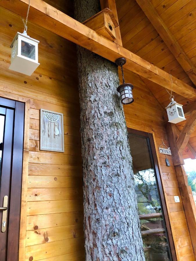 Domeniul Horj Casa Din Deal Moisei Eksteriør bilde